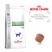 Купить лечебный корм дентал для собак в Краснодаре с доставкой на дом