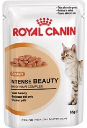 Влажный корм Роял Канин интенс бьюти для кошек: кусочки в соусе для красоты шерсти и кожи.