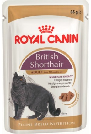 Влажный корм Роял Канин для взрослых британских и шотландских кошек