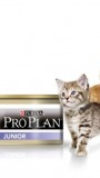 ProPlan консервы для котят (курица), , 77 р., Кошки, Проплан, Проплан