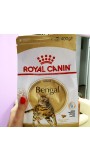 Роял Канин для бенгальских кошек